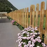 With Spectacular View