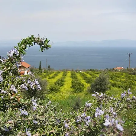 With Spectacular View Villa